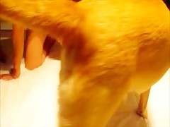 sexy hot shemalet  and dog 1