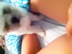 Me masturbo delante del perro
