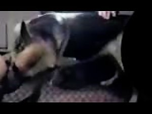 K9 old video