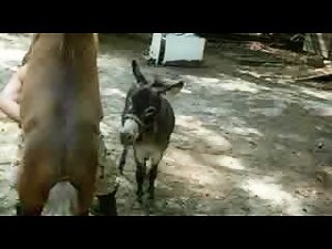 El pony le sacia el culo
