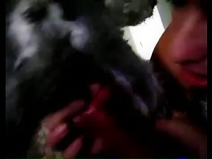 Blowing small dogs dick