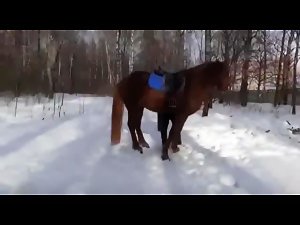 20 year old girl Katya spets on horses from TeamRussia Zoo