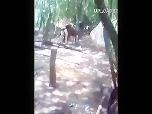 hot boys having fun with donkey Sex Amateur