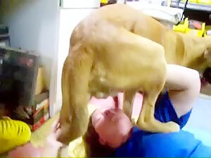 Horny chubby woman sucking deep dog - Animal xxx videos