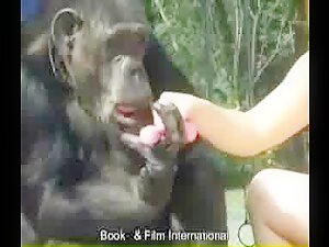 Zoofilia Monkey - ZooSiesta Girl And Monkey - Video de Zoofilia - ZoofiliaVids