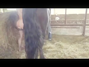 Seducing the horse