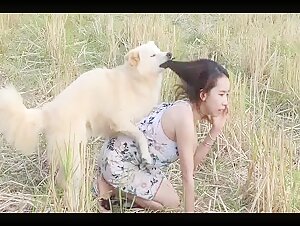 Lovely smart dog and Thai Girl