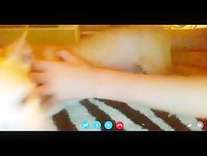 Cute girl suck dog cock on skype