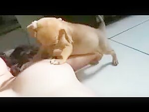 Leche para los cachorros