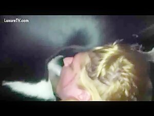 Dog Bloawjob Compilation