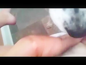 Thumb 3