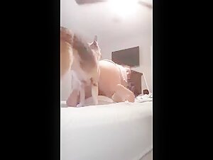 Hot dog 8
